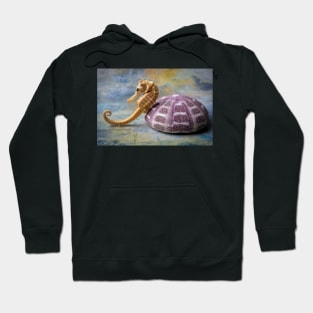 Seahorse And Purple Sea Urchin Hoodie